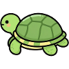 Cute Turtle Turtles Gift