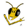 Wasp Streetwear Graphic