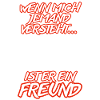 RC Auto Freund