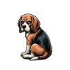 Nerv Mich Nicht Beagle Beaglebesitzer Beaglehalter