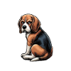 Don't Bother Me Beagle Beaglebesitzer Beaglehalter