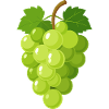 Green Grapes Illustration