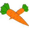 Carottes