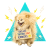 Chien féministe sur triangle bleu
