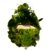 tiny planet Jardin Suspendu