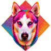 Bright Rainbow Husky