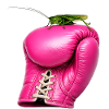 Pinker Boxhandschuh mit Heuschrecke