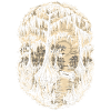 Sumpf