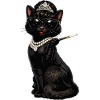 Cat Audrey