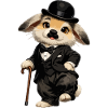 Rabbit Charlie