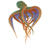 Circuit Kraken Fusion