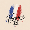 Frankreich Fußball in Bürsten