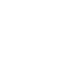 Bruder 1981