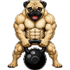 Pug Bodybuilder Workout with Kettlebell