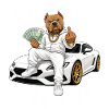 Never 31 with style