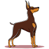 Doberman (comic)