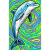 dolphin