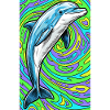 dolphin