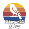 Roter Kanarienvogel Red Factor Canary