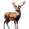 Sikahirsch