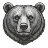 Bear Graphic Design Grizzly Illustration