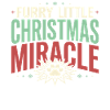 First Christmas with