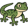 Green Gecko