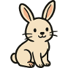 petit lapin