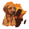 Rhodesian Ridgeback