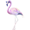 Cool flamingo with sunglasses summer motif