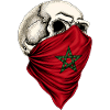 Morocco Moroccan Flag Skull