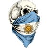 Argentina Argentinos argentinian flag skull
