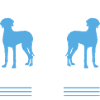 Weimaraner