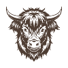 Highland Cow