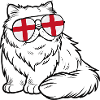 England Flag Cat Sunglasses Cooler