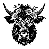 Vache des Highlands