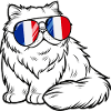 France Flag Cat Sunglasses Cooler
