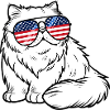 Sunglasses with USA flag, cat, American,