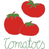 Three Tomatoes Hand Drawing