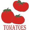Tomato Trio Retro Logo