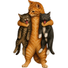 Funny Orange Cat Carrying Kittens