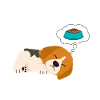 Hunde-Beagle-Haar-Pyjamas
