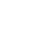 Friesland Superior Edition Badge