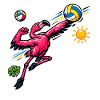Flamingo playing volleyball in the sunlight
