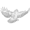 Greifvogel im Flug Silhouettenkunst