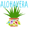 Aloe-Vera-Witz Pflanzen-Humor