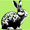 rabbit