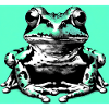 frog