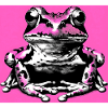 grenouille