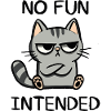 No Fun Intended - Cat